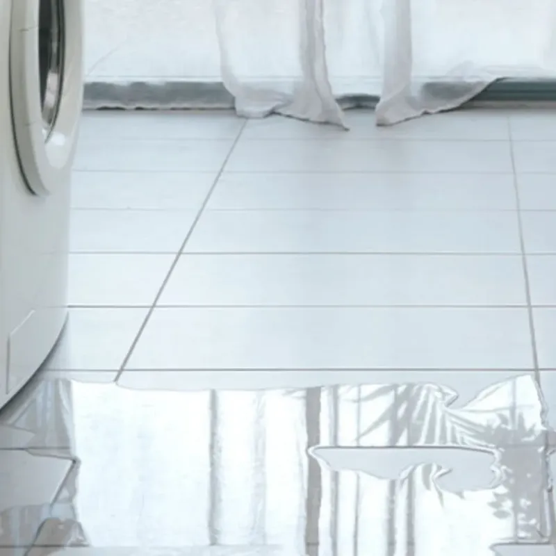 Appliance Leak Cleanup in North Richland Hills, TX