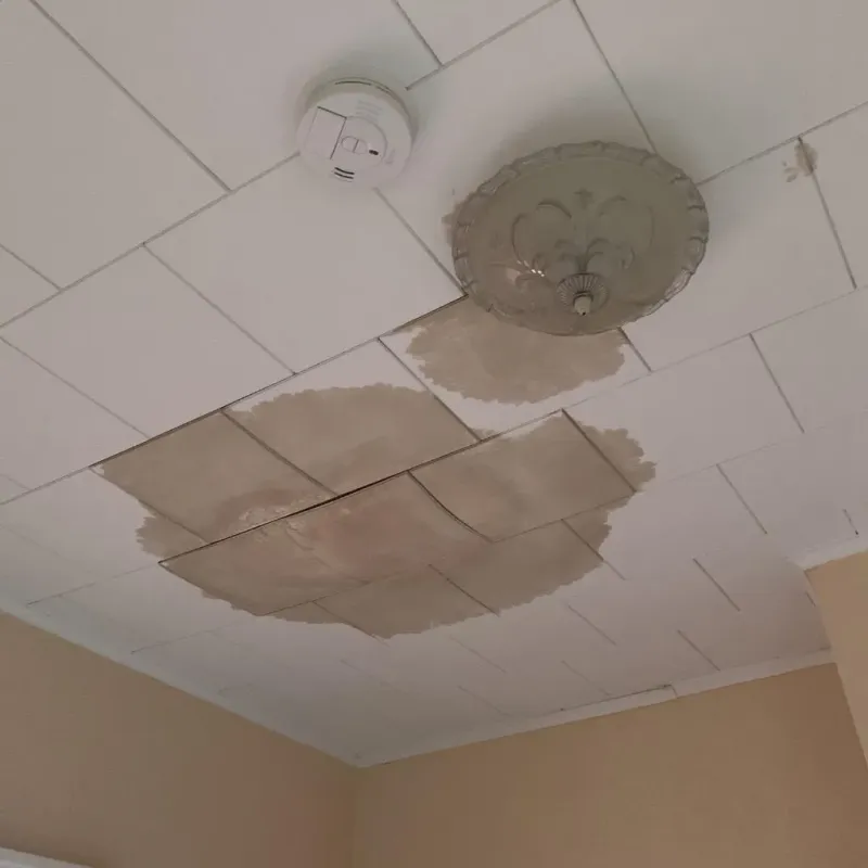 Ceiling Water Damage Repair in North Richland Hills, TX