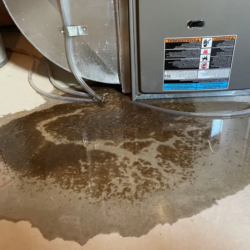Pipe Burst and Leak Restoration in North Richland Hills, TX