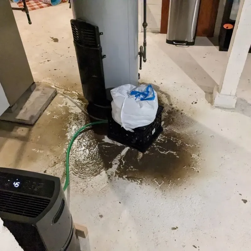 Sewage Backup Cleanup Service in North Richland Hills, TX